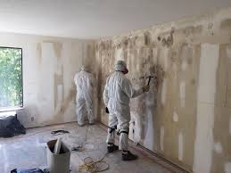  Sun Village, CA Mold Removal Services Pros